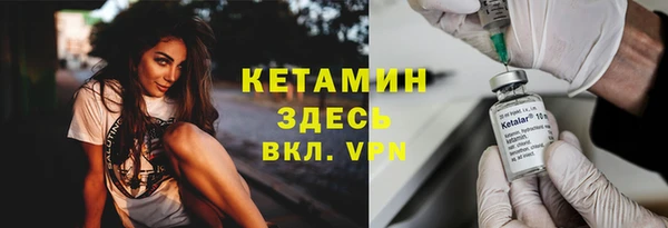 хмурый Верея