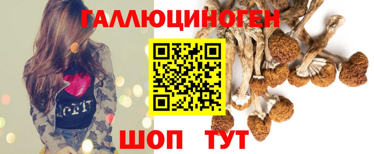 Лиски  Галлюциногенные грибы MAGIC MUSHROOMS  Вход с VPN  Псилоцибиновые грибы Psilocybine cubensis 